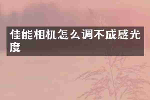 佳能相机怎么调不成感光度