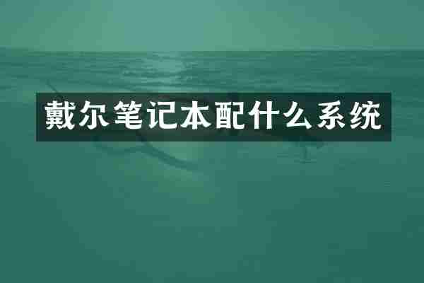戴尔笔记本系统