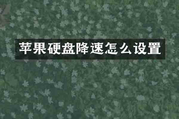 苹果硬盘降速怎么设置