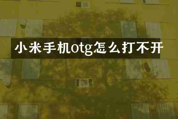 小米手机otg怎么打不开