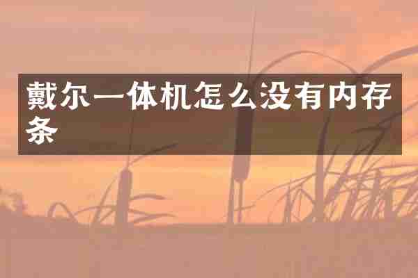 戴尔一体机怎么没有内存条