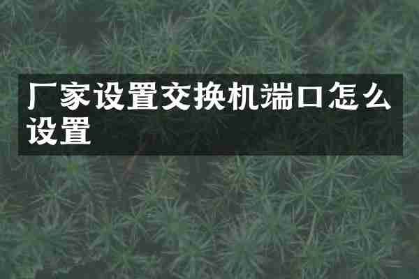 厂家设置交换机端口怎么设置