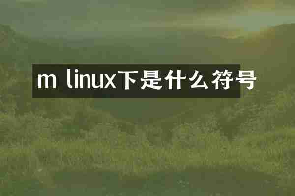 m linux下是什么符号
