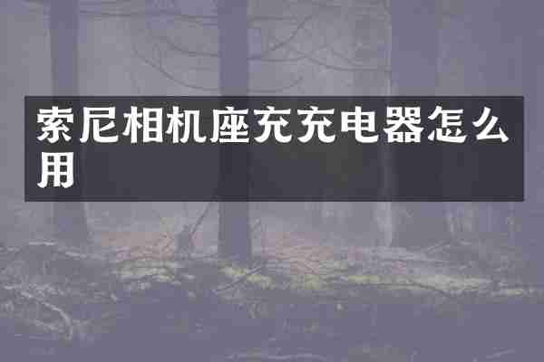 索尼相机座充充电器怎么用