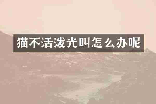 猫不活泼光叫怎么办呢