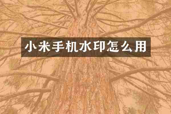 小米手机水印怎么用