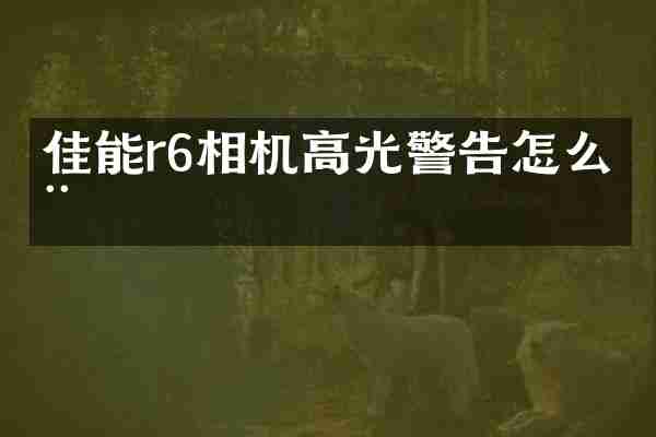 佳能r6相机高光警告怎么用