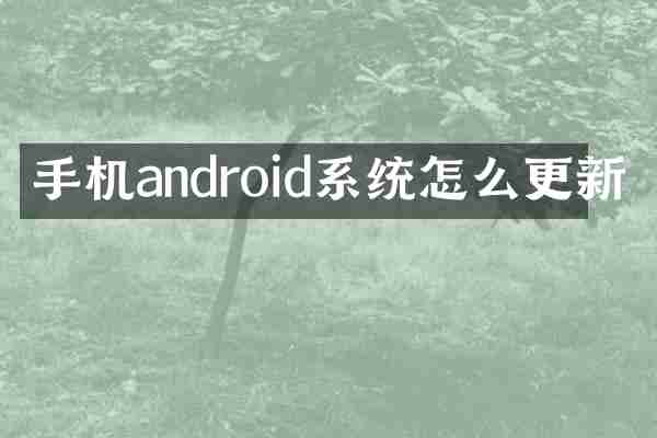 手机android系统怎么更新