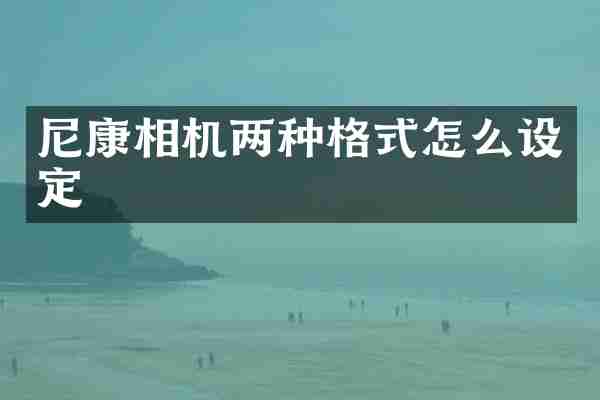 尼康相机两种格式怎么设定