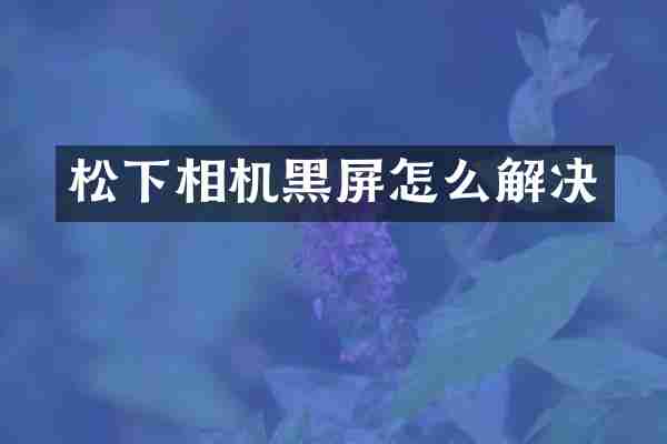 松下相机黑屏怎么解决