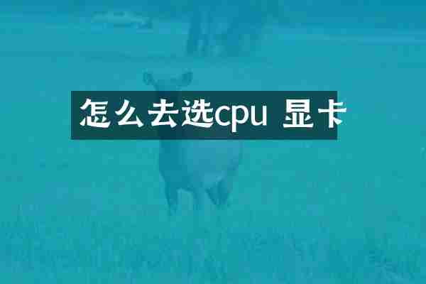 怎么去选cpu 显卡