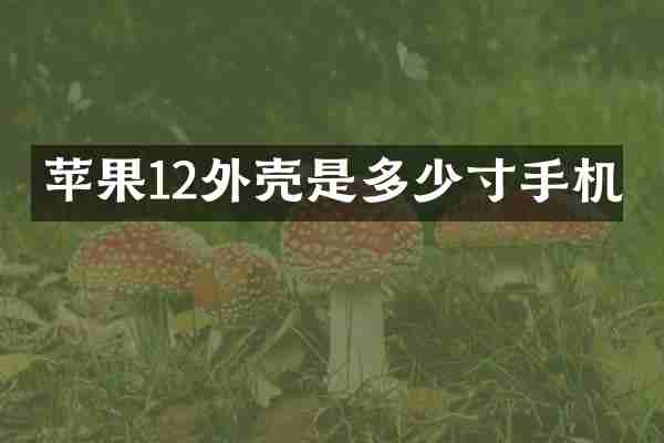 苹果12外壳是多少寸手机