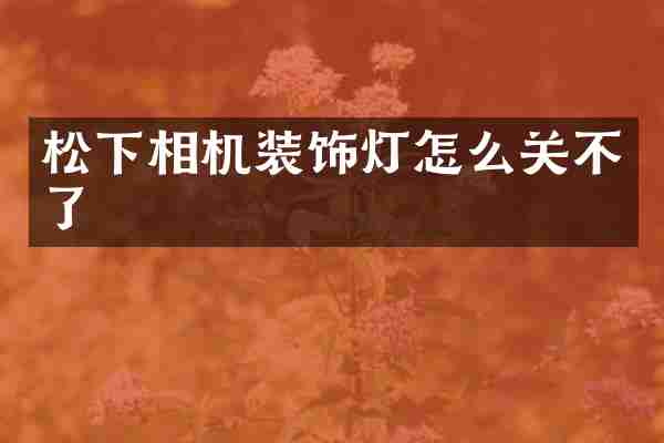 松下相机装饰灯怎么关不了