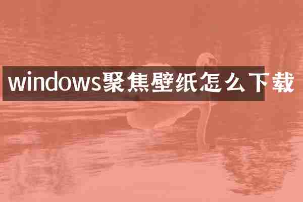 windows聚焦壁纸怎么下载