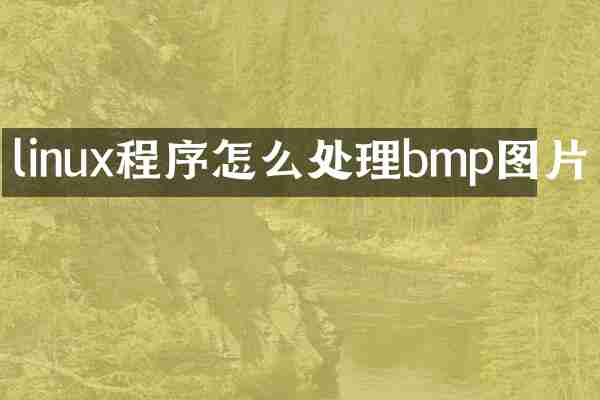 linux程序怎么处理bmp图片