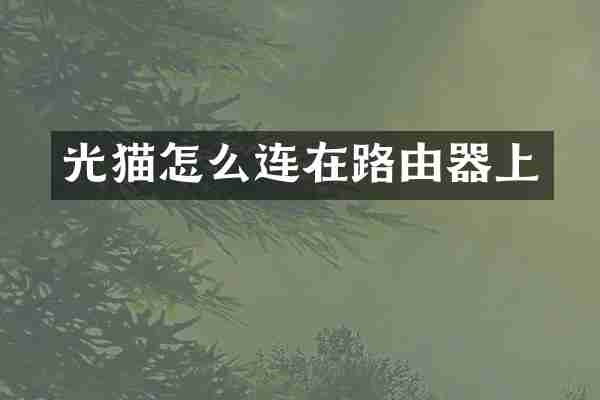 光猫怎么连在路由器上
