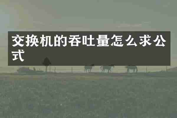 交换机的吞吐量怎么求公式