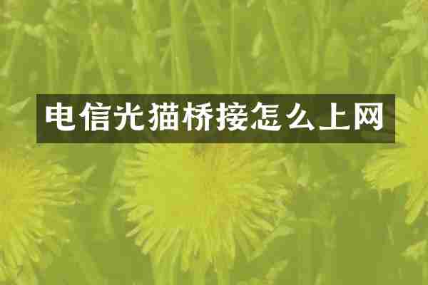 电信光猫桥接怎么上网