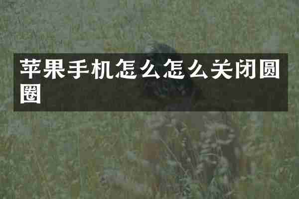 苹果手机怎么怎么关闭圆圈