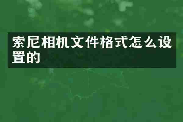索尼相机文件格式怎么设置的