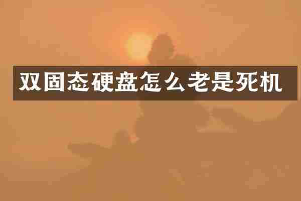 双固态硬盘怎么老是死机