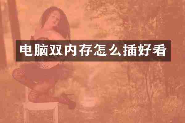 电脑双内存怎么插好看
