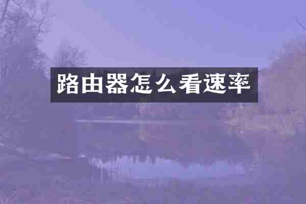 路由器怎么看速率