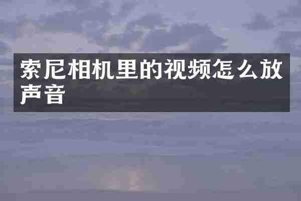 索尼相机里的视频怎么放声音