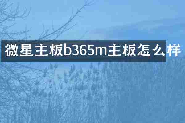 微星主板b365m主板怎么样