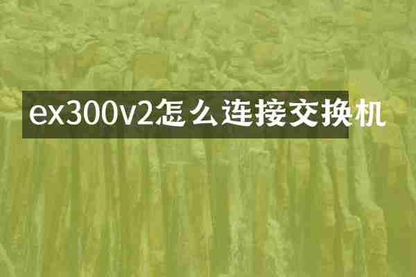 ex300v2怎么连接交换机