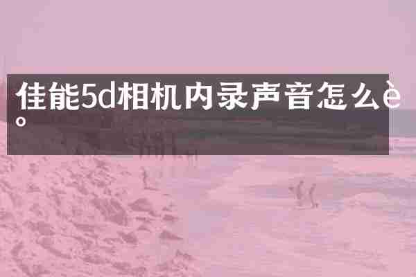 佳能5d相机内录声音怎么调
