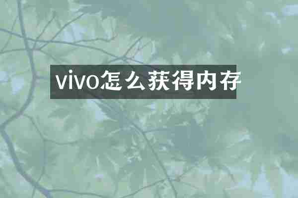 vivo怎么获得内存