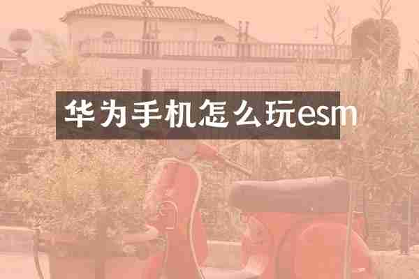 华为手机怎么玩esm