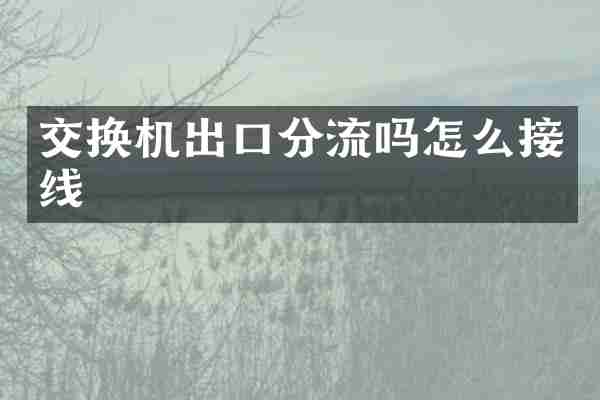交换机出口分流吗怎么接线