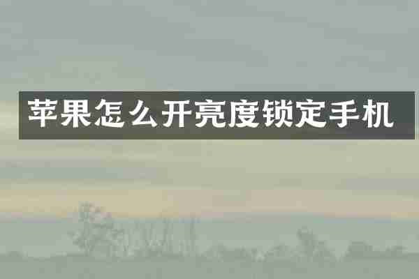 苹果怎么开亮度锁定手机