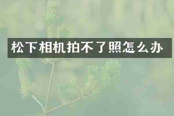 相机拍不了照怎么办