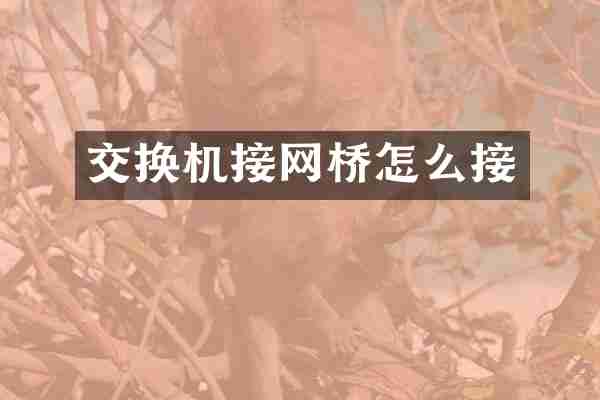 交换机接网桥怎么接