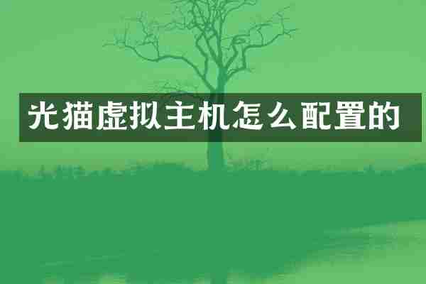 光猫虚拟主机怎么配置的