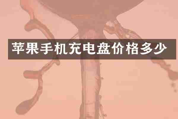 苹果手机充电盘价格多少