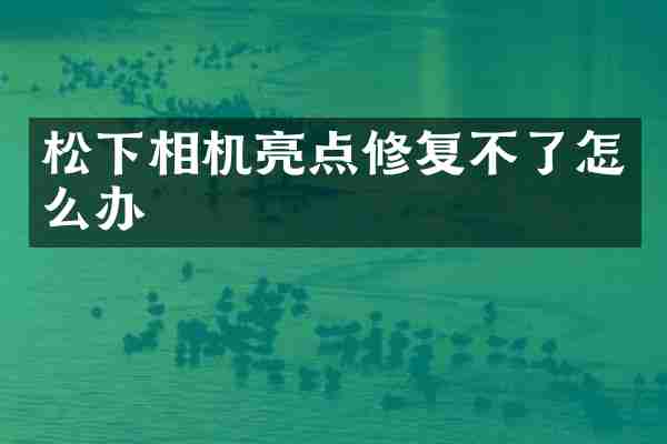 相机亮点修复不了怎么办