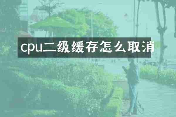 cpu二级缓存怎么取消