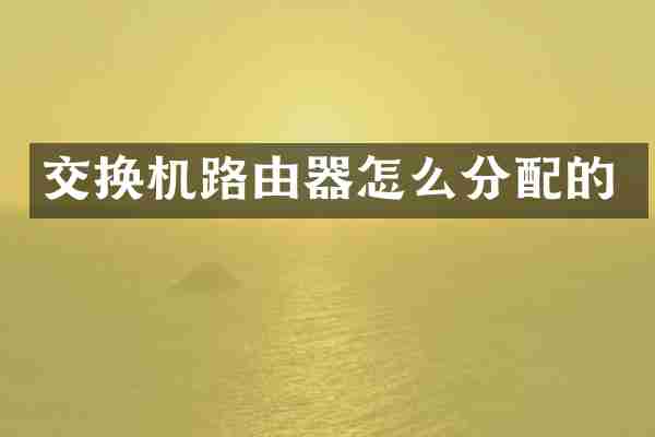 交换机路由器怎么分配的