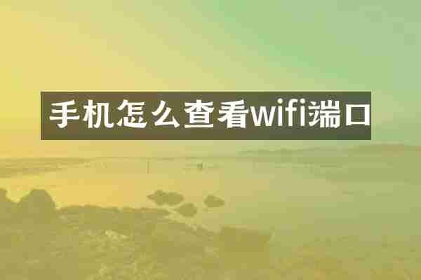 手机怎么查看wifi端口
