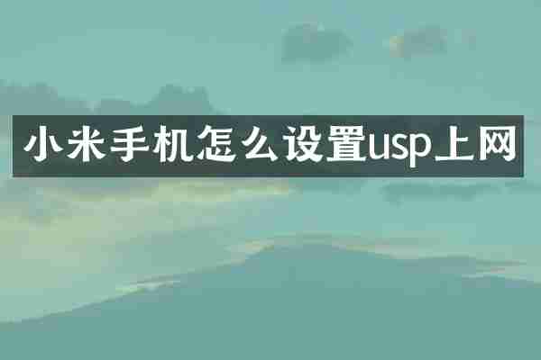 小米手机怎么设置usp上网