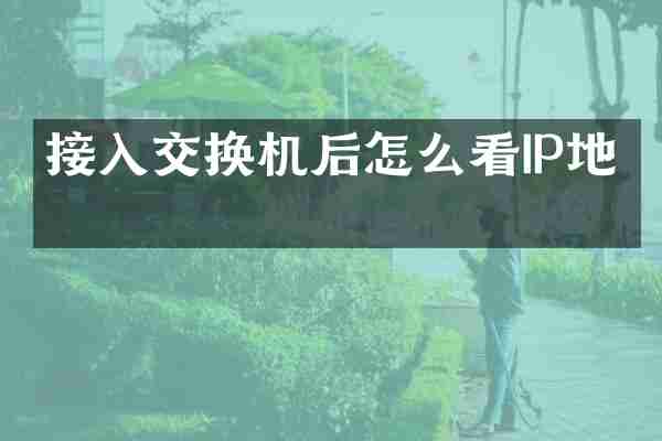 接入交换机后怎么看IP地址
