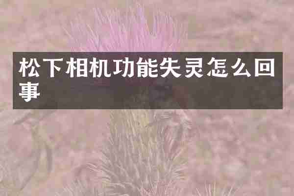 相机功能失灵怎么回事