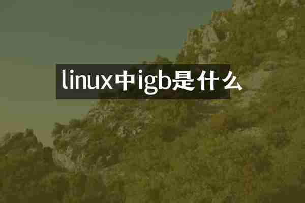 linux中igb是什么