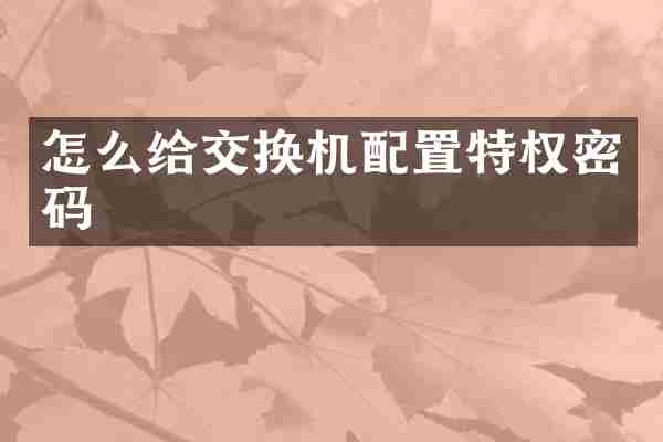 怎么给交换机配置特权密码
