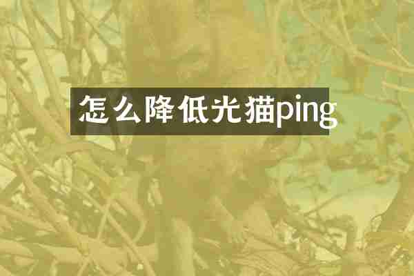 怎么降低光猫ping
