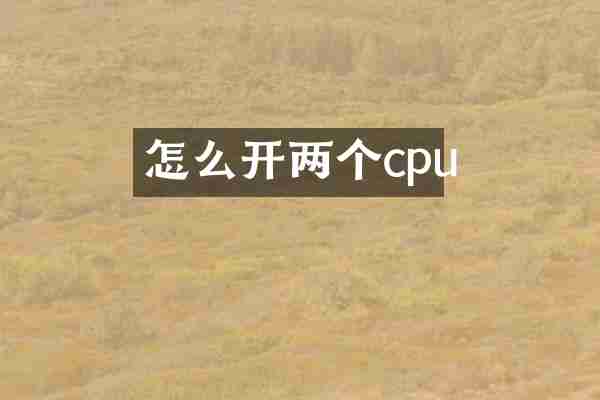 怎么开两个cpu